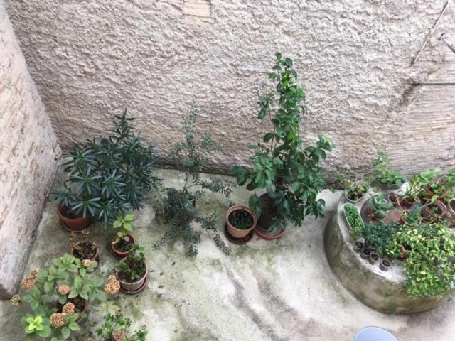 Appartement L'Arco Romano à Foligno Extérieur photo
